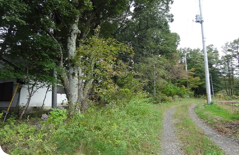 山林のイメージ