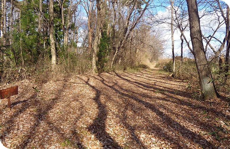 売買が成立した山林
