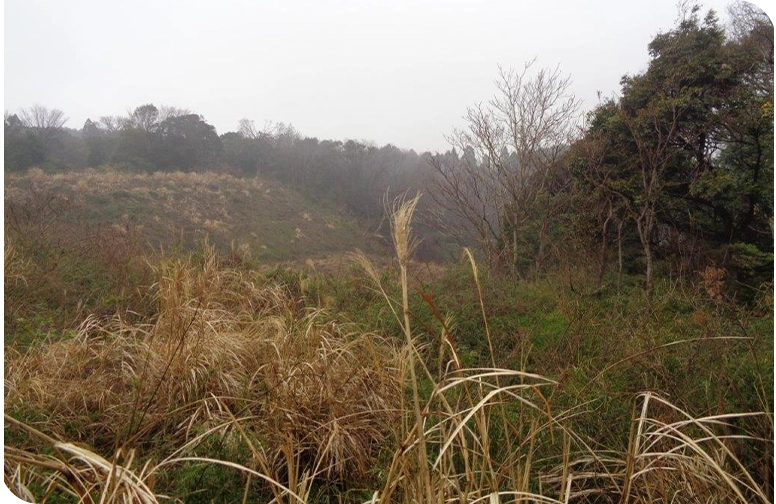 窪地のイメージ