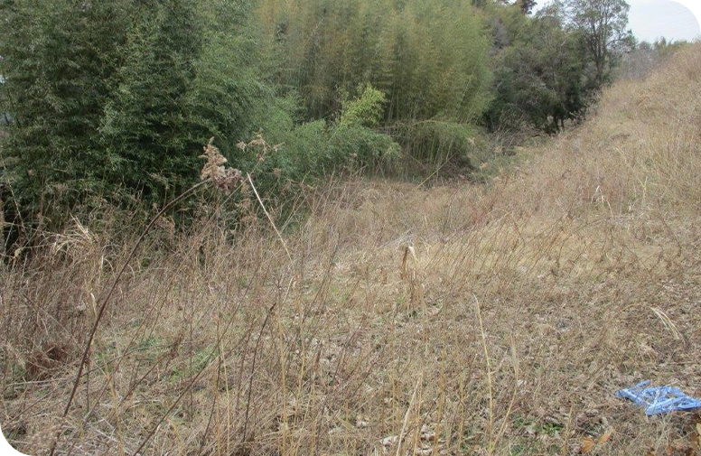 小谷のイメージ